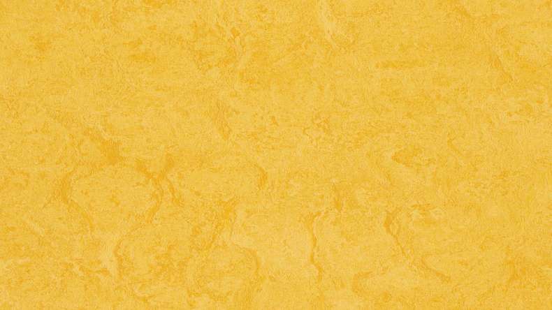 planeo linoleum click Linoklick - Scorza di limone - 333251