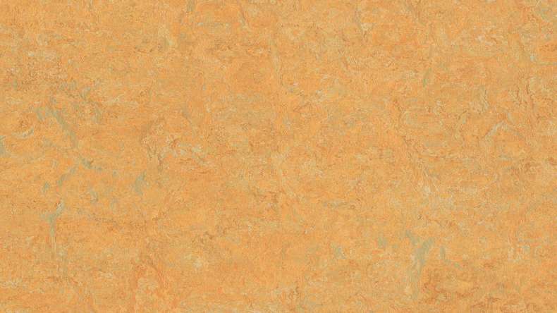 Forbo Linoleum Marmoleum - Zafferano reale dorato 3847 2.0
