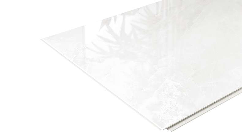 planeo StrongWall - rivestimento murale in plastica Evo 65 x 37,5 cm lucido