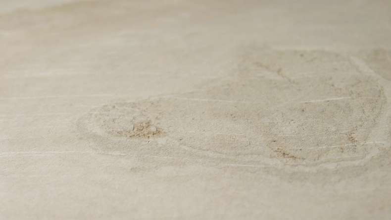 planeo EVOLITH Slate&Stone - Rivestimento in pietra naturale Siena Dust 1220 x 610 mm