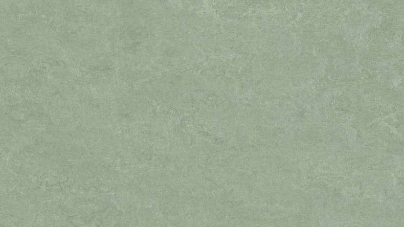 Forbo Linoleum Marmoleum - Fresco salvia 3891