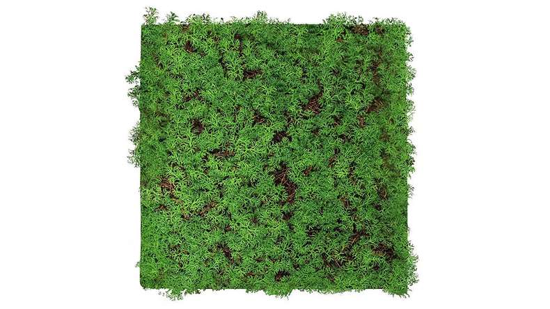 pannello acustico planeo - MixWall Living Leaf Thuja Tea Tree 52 x 52 cm | pianta naturale (PLMW-50111)