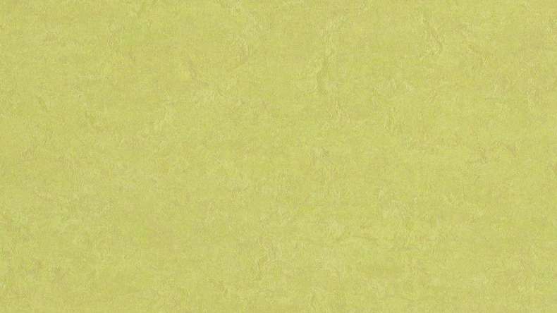 Forbo Linoleum Marmoleum - Fresco boccioli di primavera 3885