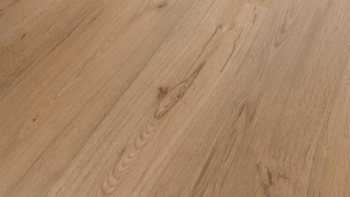 Skaben Vinile adesivo - Object quercia classica (SO-6208307)