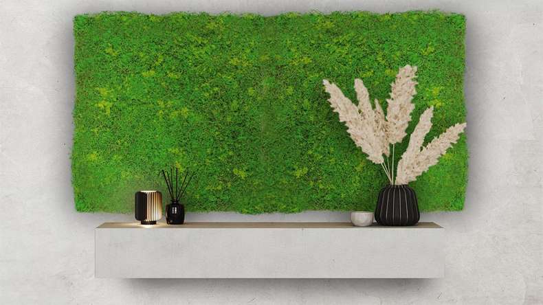pannello acustico planeo - MixWall Moss Mood Light Green Fibre 52 x 52 cm | Art Moss (PLMW-10211C)