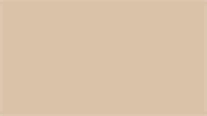 planeo Woodflex giunto in legno rovere bianco 290 ml