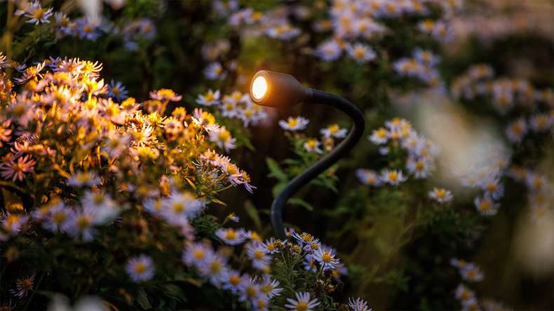 planeo illuminazione da giardino 12V - Faretto LED/luce da parete Xible - 2W 160 lumen
