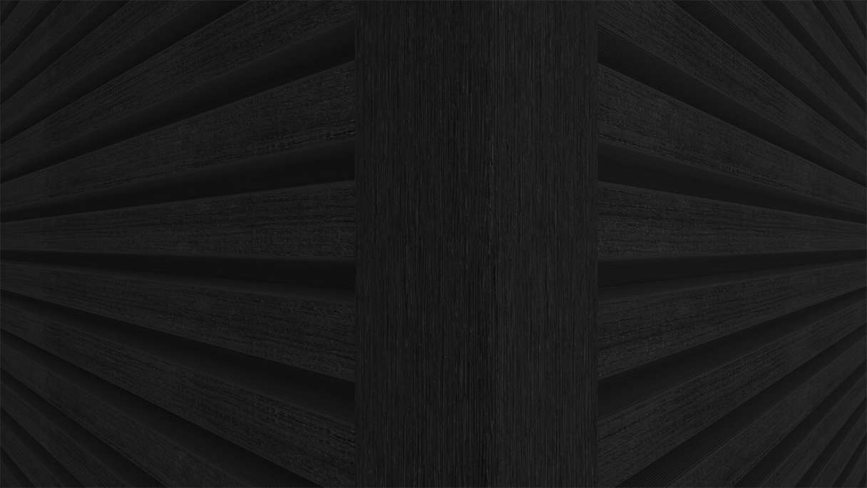 planeo LINEA Slim - Rivestimento per facciate in WPC CoEx, nero, 2900 x 215 mm