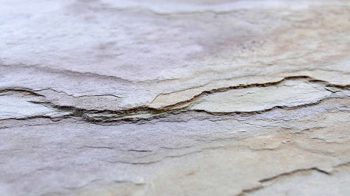 planeo EVOLITH Slate&Stone - Rivestimento in pietra naturale Autumn Drift 1220 x 610 mm
