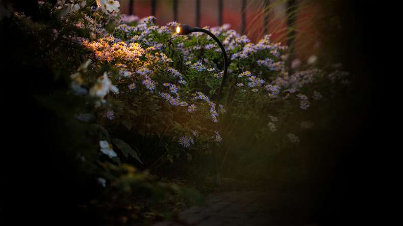 planeo illuminazione da giardino 12V - Faretto LED/luce da parete Xible - 2W 160 lumen