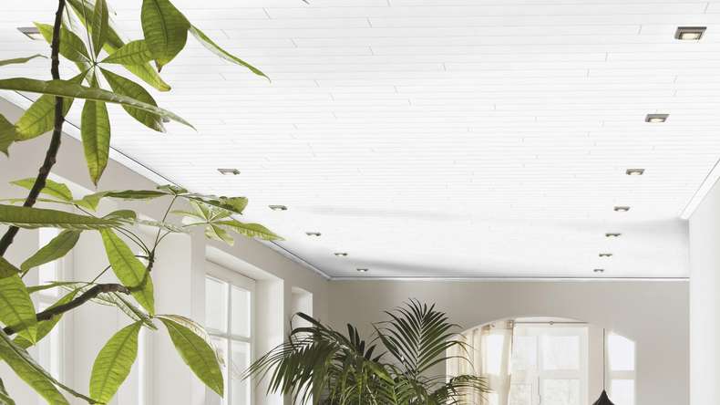 Pannelli Meister - Terra DP 250 Onda bianco 4061