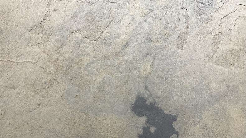 planeo EVOLITH Slate&Stone - Rivestimento in pietra naturale Siena Dust 1220 x 610 mm