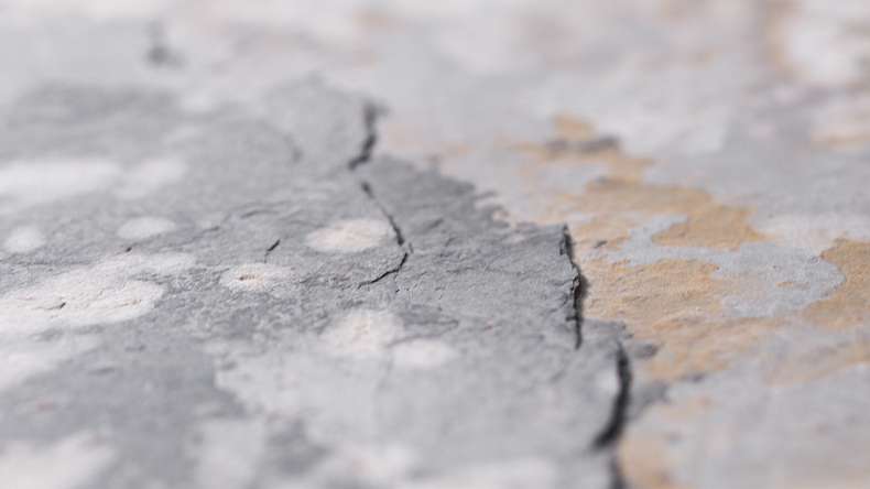 planeo EVOLITH EasyFix - Rivestimento in pietra naturale Terracrust 600 x 300 mm - 6 pezzi.