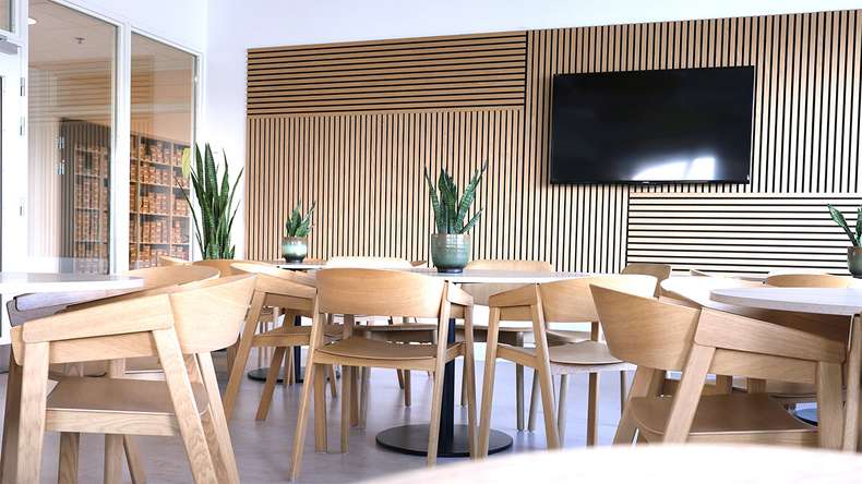 pannelli acustici planeo - rovere naturale 2480 x 600 x 21,5 mm | ignifugo