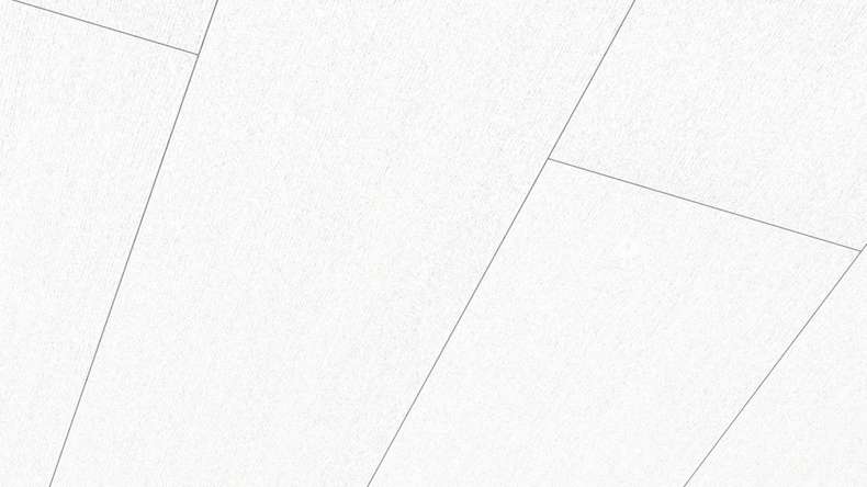 Pannelli Meister - Terra DP 250 Onda bianco 4061