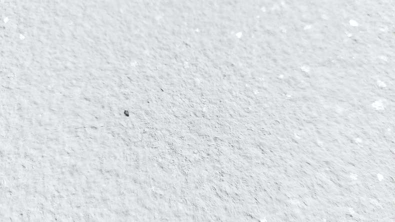 planeo EVOLITH Slate&Stone - Rivestimento in pietra naturale Crystal White 1220 x 610 mm