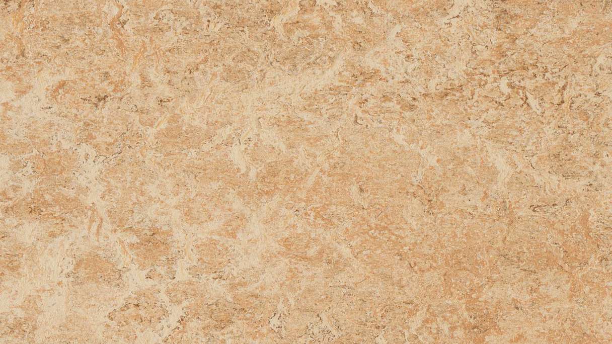 Forbo Linoleum Marmoleum Real - guscio 3075 2.0