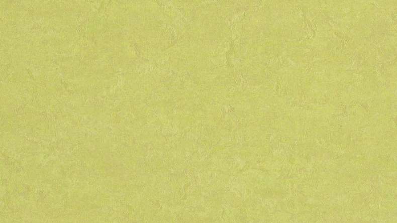 planeo linoleum click Linoklick - Germogli di primavera - 333885