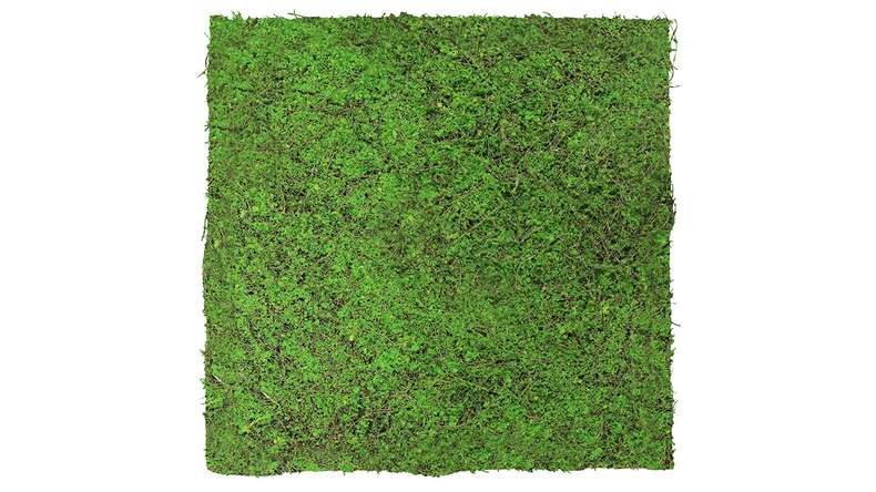 pannello acustico planeo - MixWall Living Leaf Forest Green Ancient Tree 52 x 52 cm | pianta naturale (PLMW-70111)