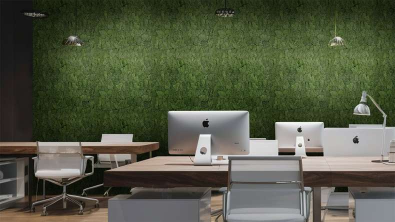 pannello acustico planeo - MixWall Living Moss Dark Green 52 x 52 cm | muschio naturale (PLMW-30111)