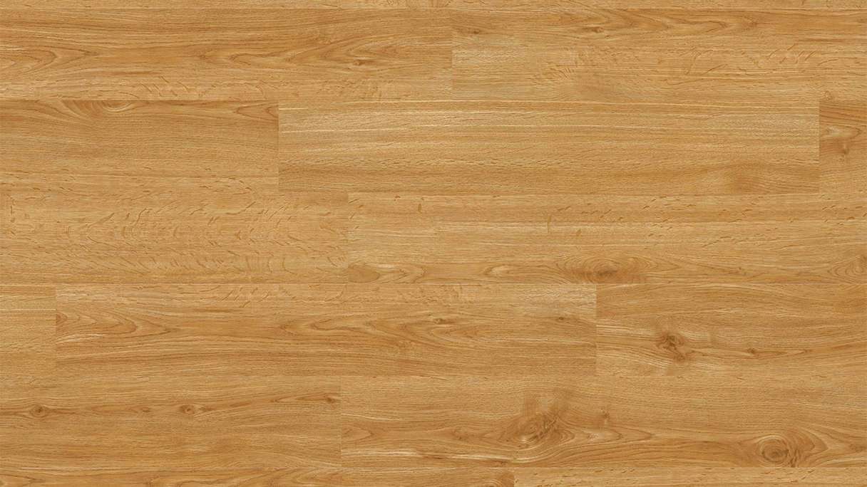 Project Floors Pavimenti organici - Collezione ECO+ ECO 1231/30 (ECO123130)