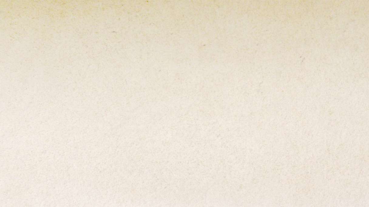 planeo EVOLITH Slate&Stone - Rivestimento in pietra naturale White Core 1220 x 610 mm