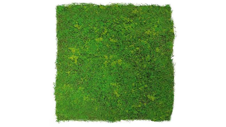 pannello acustico planeo - MixWall Moss Mood Light Green Fibre 52 x 52 cm | Art Moss (PLMW-10211C)