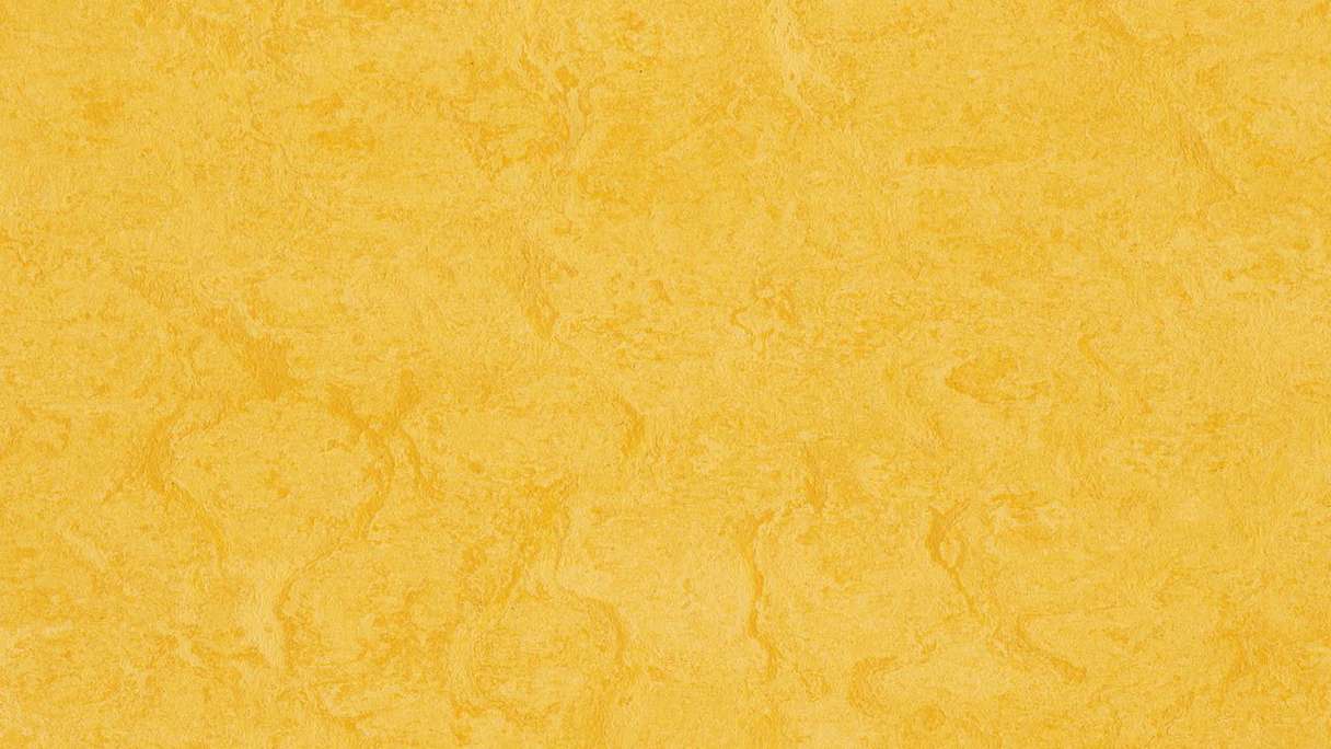 planeo linoleum click Linoklick - Scorza di limone - 333251