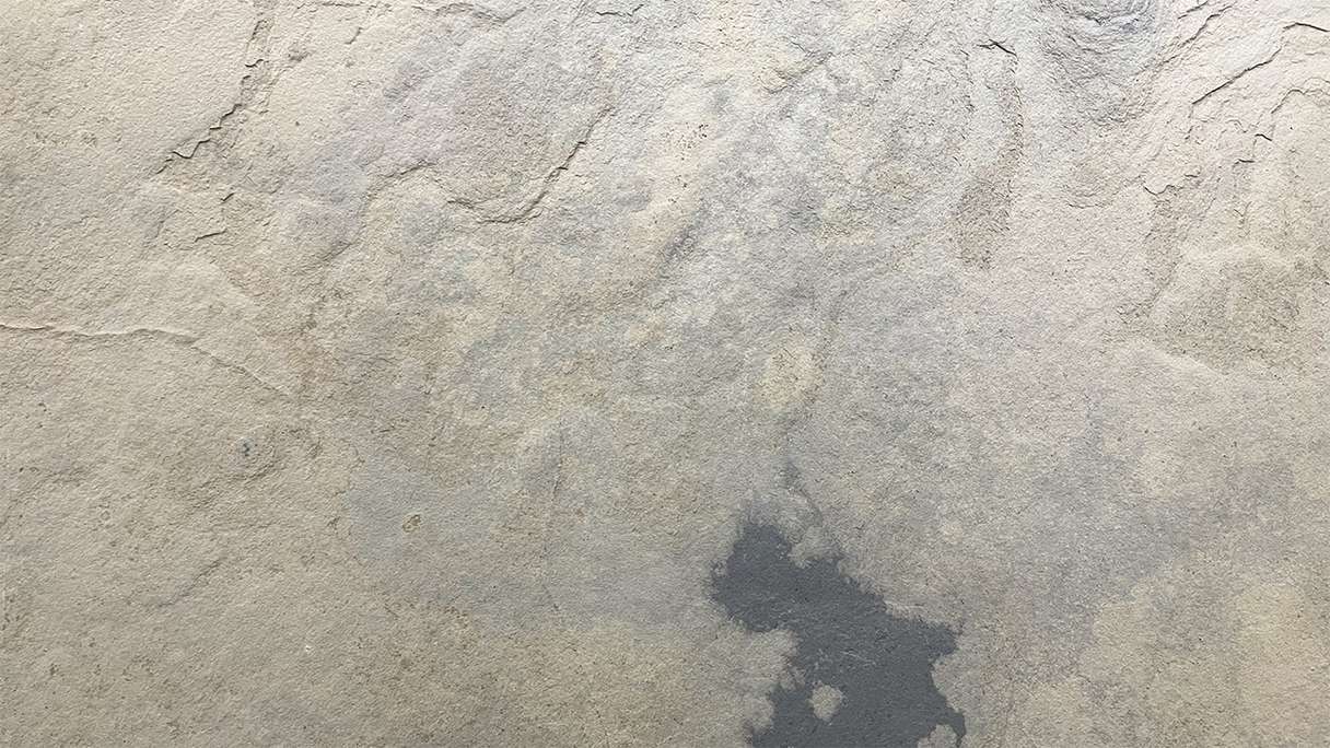 planeo EVOLITH Slate&Stone - Rivestimento in pietra naturale Siena Dust 1220 x 610 mm