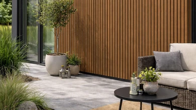 planeo DesignPro - Rivestimento per facciate in WPC Burma Teak | Nero 2900 x 175 mm