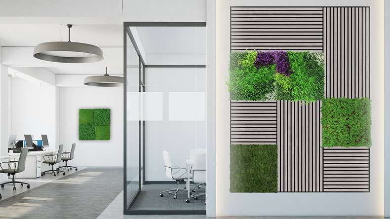 pannello acustico planeo - MixWall Living Leaf Thuja Tea Tree 52 x 52 cm | pianta naturale (PLMW-50111)