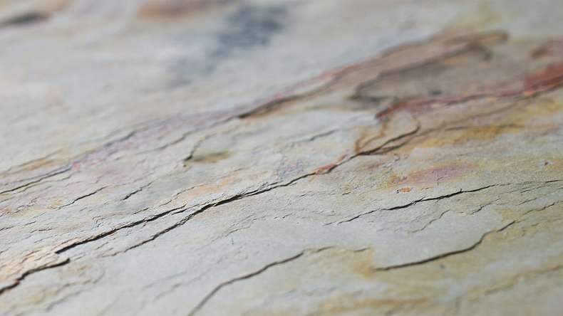 planeo EVOLITH Slate&Stone - Rivestimento in pietra naturale Autumn Drift 1220 x 610 mm