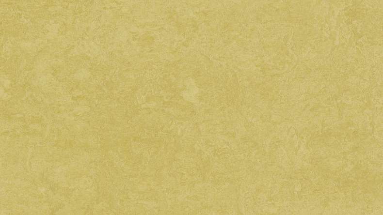 Forbo Linoleum Marmoleum - Fresco senape 3259