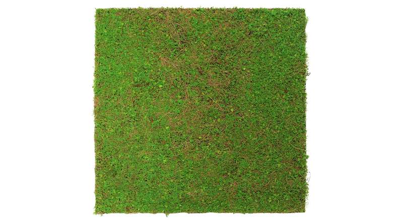 pannello acustico planeo - MixWall Living Leaf Light Green Coconut 52 x 52 cm | pianta naturale (PLMW-60111)