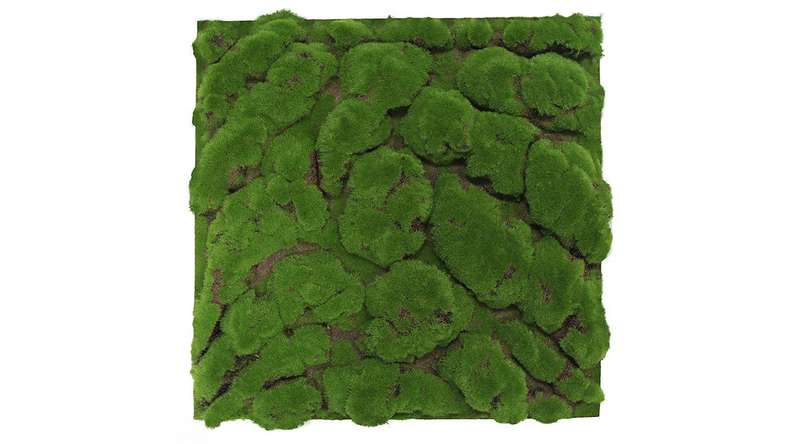 pannello acustico planeo - MixWall Moss Mood Forest Green Big Bulk 52 x 52 cm | Art Moss (PLMW-00211C)