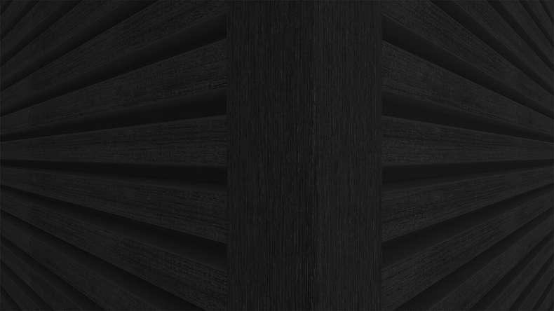 planeo LINEA Slim - Rivestimento per facciate in WPC CoEx, nero, 2900 x 215 mm