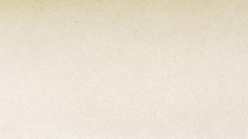 planeo EVOLITH Slate&Stone - Rivestimento in pietra naturale White Core 1220 x 610 mm