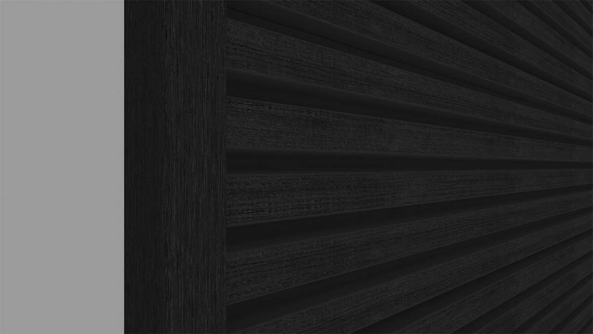 planeo LINEA Slim - Rivestimento per facciate in WPC CoEx, nero, 2900 x 215 mm