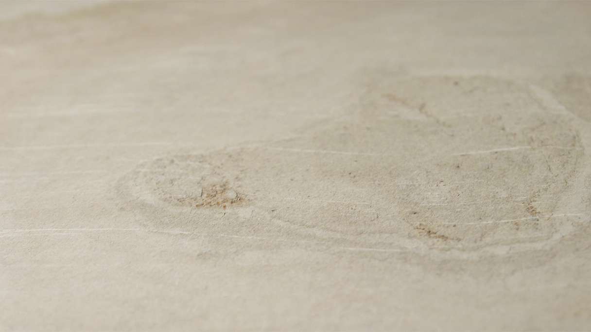 planeo EVOLITH Slate&Stone - Rivestimento in pietra naturale Siena Dust 1220 x 610 mm