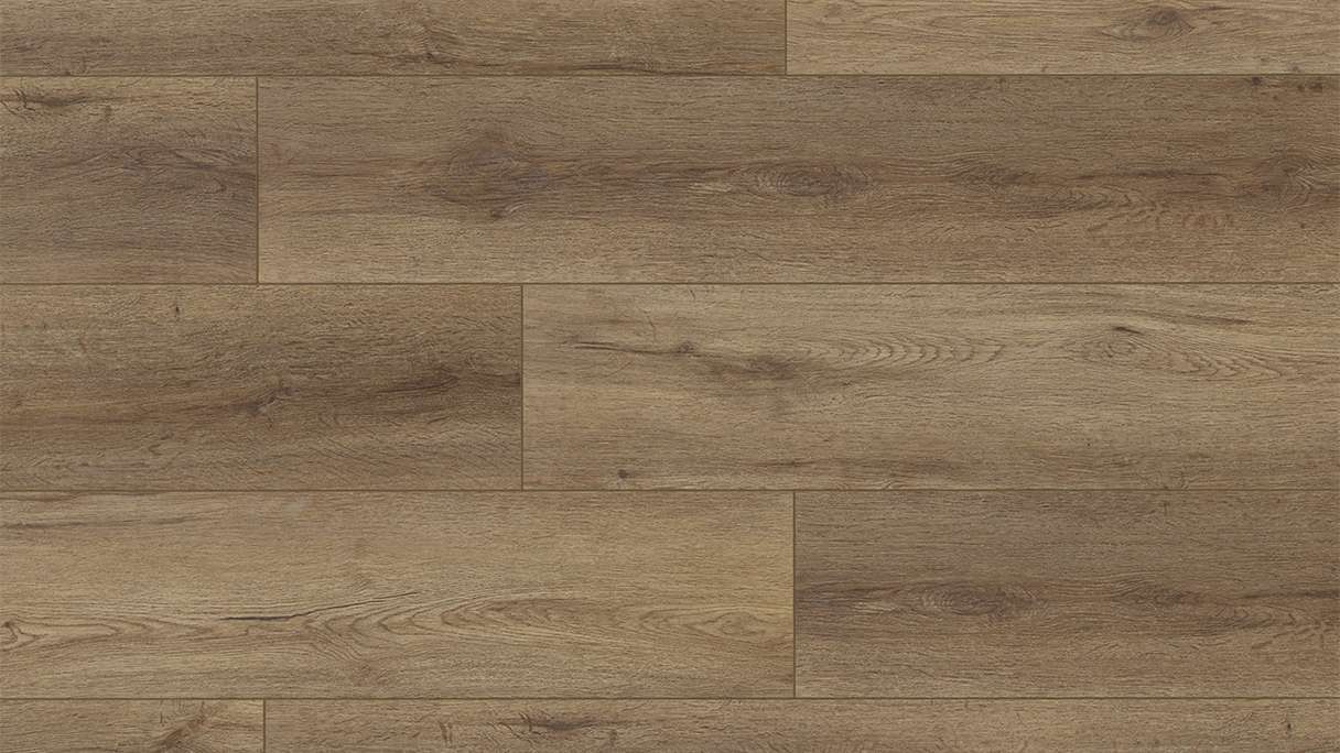 planeo Vinile ad incastro - Object Grand Quercia delle Ande (EF-154)