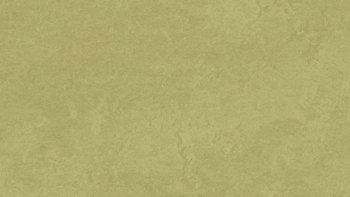 Forbo Linoleum Marmoleum Fresco - avocado 3265 - 2.5mm