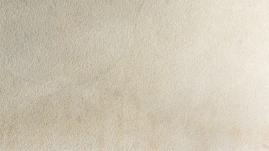 planeo EVOLITH Slate&Stone - Rivestimento in pietra naturale White Core 1220 x 610 mm