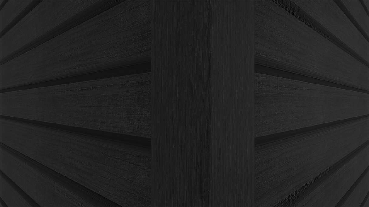 planeo LINEA Wide - Rivestimento per facciate in WPC CoEx, nero, 2900 x 181 mm