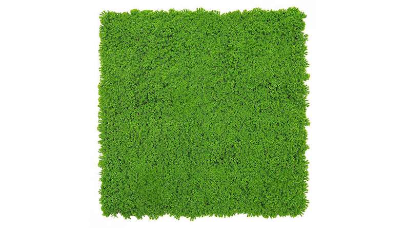 pannello acustico planeo - MixWall Moss Mood Lime Green 52 x 52 cm | muschio artificiale (PLMW-30211C)