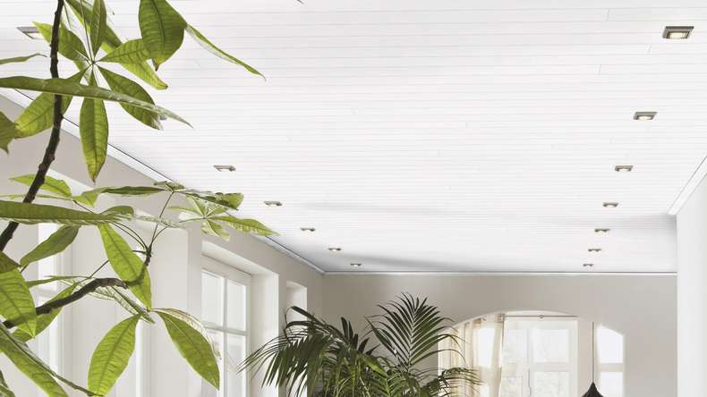 Pannelli Meister - Bocado 250 1,28m Fineline bianco (300007-1280250-04029)