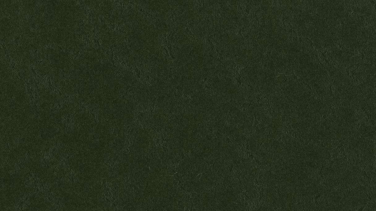 Forbo Linoleum Marmoleum - Walton verde bottiglia 3359