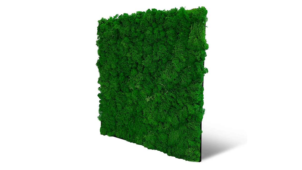 pannello acustico planeo - MixWall Living Moss Nature Green 52 x 52 cm | muschio naturale (PLMW-00111)