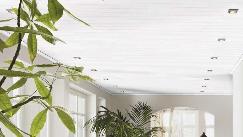 Pannelli Meister - Bocado 250 Fineline bianco 4029