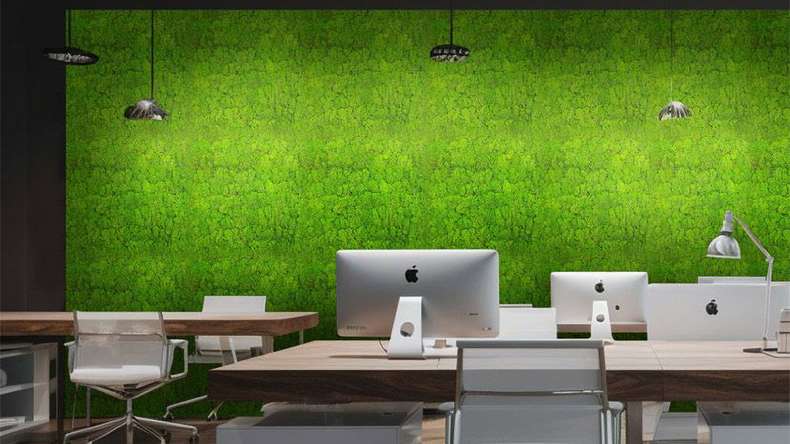 pannello acustico planeo - MixWall Living Moss Bright Green 52 x 52 cm | muschio naturale (PLMW-20111)