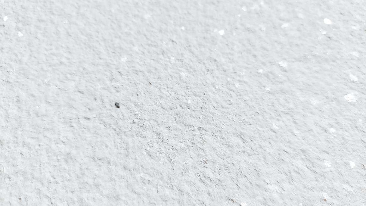planeo EVOLITH Slate&Stone - Rivestimento in pietra naturale Crystal White 1220 x 610 mm